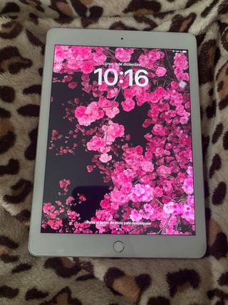 Apple iPad Blanco