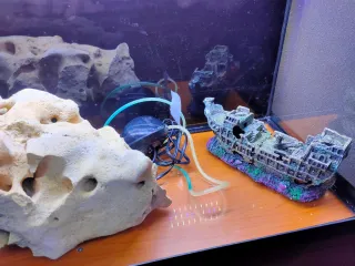 Pecera 100L con mueble y accesorios