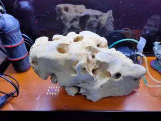 Pecera 100L con mueble y accesorios