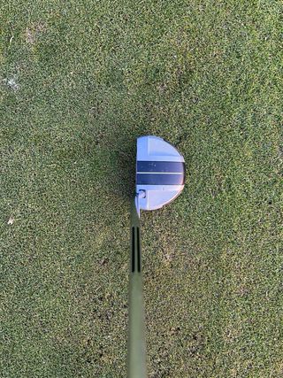 Putter TaylorMade Spider GT Rollback