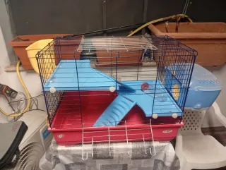 Gabbia per roditori con accessori