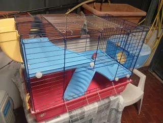 Gabbia per roditori con accessori