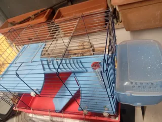 Gabbia per roditori con accessori