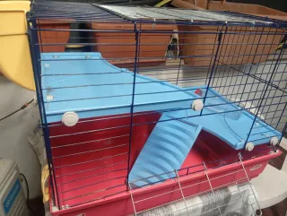 Gabbia per roditori con accessori