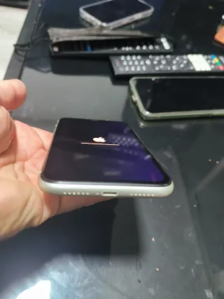 iPhone 11 Grigio/Bianco