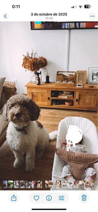 Mueble TV madera maciza TECA 120x30x40