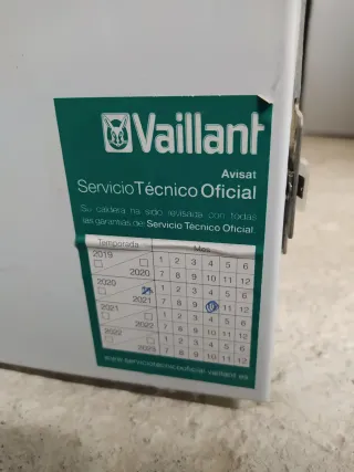 Caldera gas butano Vaillant.