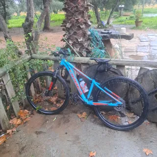 Bicicleta Orbea 27.5