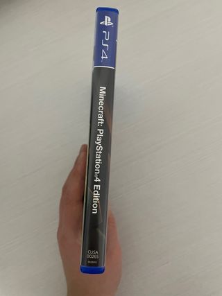 Minecraft PS4 Edition