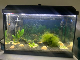 3 Acquari Nero/Trasparente