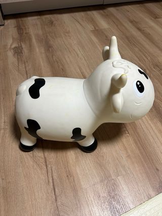 Bella the cow