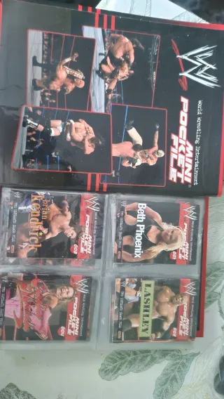 Mini Pocket File WWE