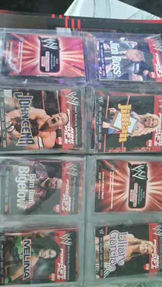 Mini Pocket File WWE