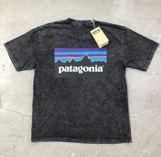 Camiseta Patagonia