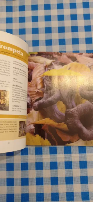 Libro “Caçar Bolets tot l’any” – Guía práctica.