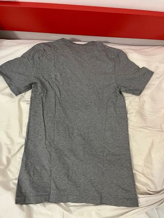 Camiseta Jordan Flight Gris