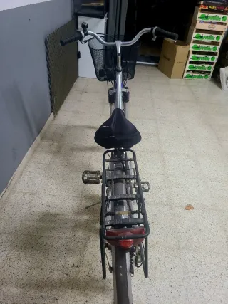 Bicicleta Halley Donna Argento