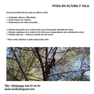 Poda de árboles en altura y jardinería profesional