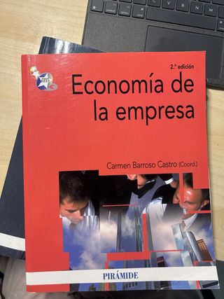 Economía de la empresa (Spanish Edition)