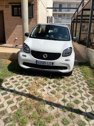 smart forfour 2019
