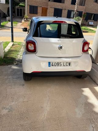 smart forfour 2019
