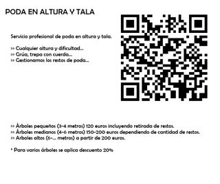 poda en altura y tala de árboles