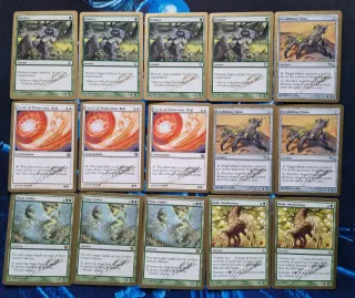 Magic The Gathering - Julien Nuijten