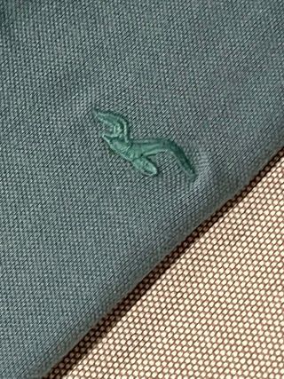 Polo Hollister Verde Claro Talla L