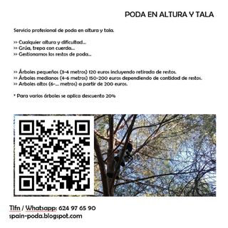 poda de árboles en altura y jardinería