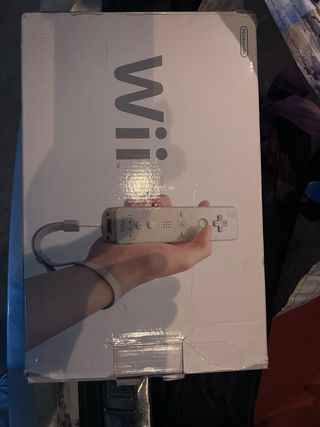 Nintendo Wii e Wii Fit Plus