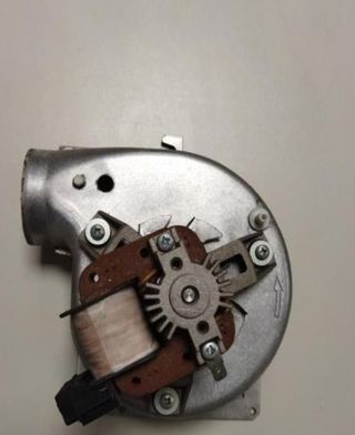 REPUESTOS DE CALDERA FERROLI DOMINA C24