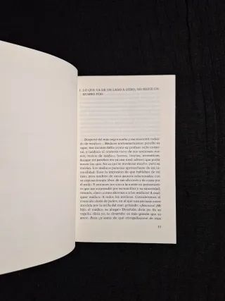 Martin Amis. La flecha del tiempo