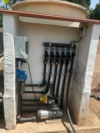 JARDINERO PROFESIONAL: PODAS, LIMPIEZA Y RIEGO