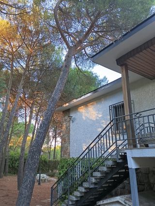 Expertos en tala de árboles y poda en altura