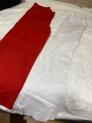 Lote 2 Pantalones Talla 36 Renatta & go y Zara
