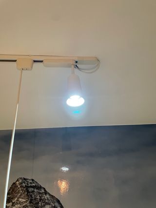 Lámpara colgante roja 2 tulipas + foco