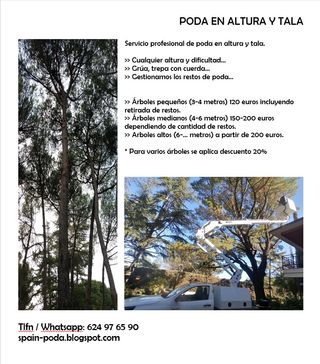 poda, tala, mantenimiento de jardines