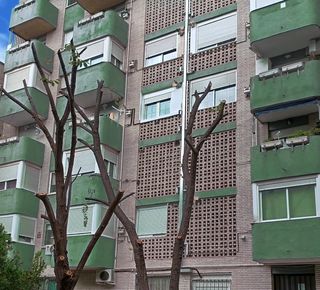 poda, tala, mantenimiento de jardines