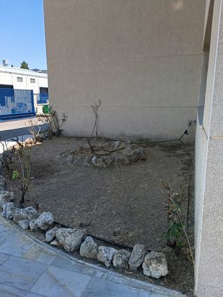 Limpieza y desbroce de parcelas