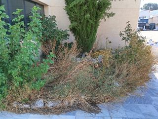 Limpieza y desbroce de parcelas