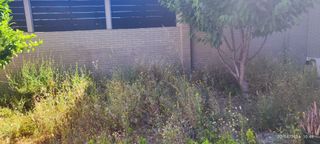 Desbrozar de parcela, solar y finca