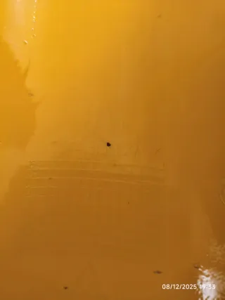 Parafango originale Ducati 748 916 996 998