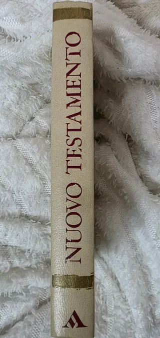 Bibbia Nuovo Testamento