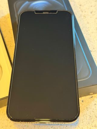 iPhone 12 Pro Max 256GB Pacific Blu