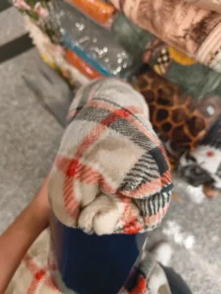 Coperta plaid Zambaiti 130x160cm