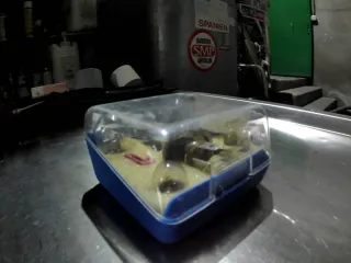 Kit Bombilla Coche Antiguo Universal