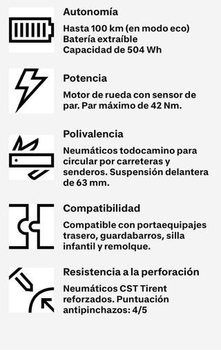 Bicicleta Eléctrica trekking Riverside 520 E gris