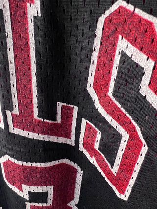 Camiseta Champion Chicago Bulls vintage años 90 Og