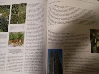 El gran libro de jardinería