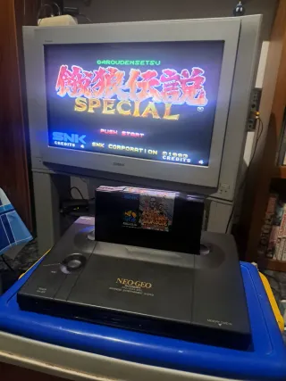 Juego Fatal Fury Special Neo Geo AES SNK